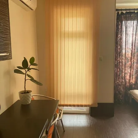 Studio Zornica *